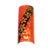 AIKO Nails Art Design (70tips/box)